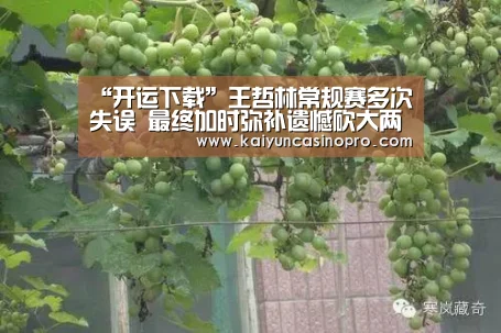 “开运下载”王哲林常规赛多次失误 最终加时弥补遗憾砍大两双(图3) 开运登录