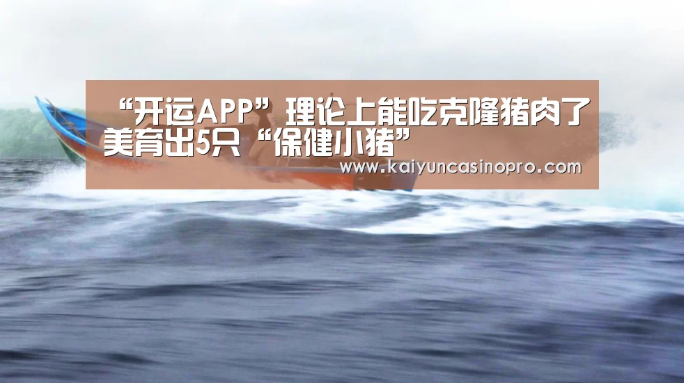 “开运APP”理论上能吃克隆猪肉了美育出5只“保健小猪”(图2) 开运登录