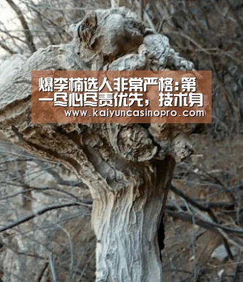 爆李楠选人非常严格:第一尽心尽责优先,技术身高排第二-开运下载(图1) 开运下载