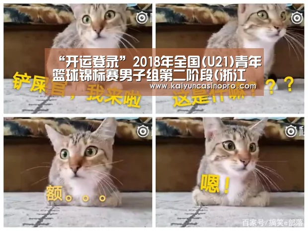 开运登录