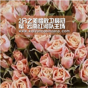 开运登录