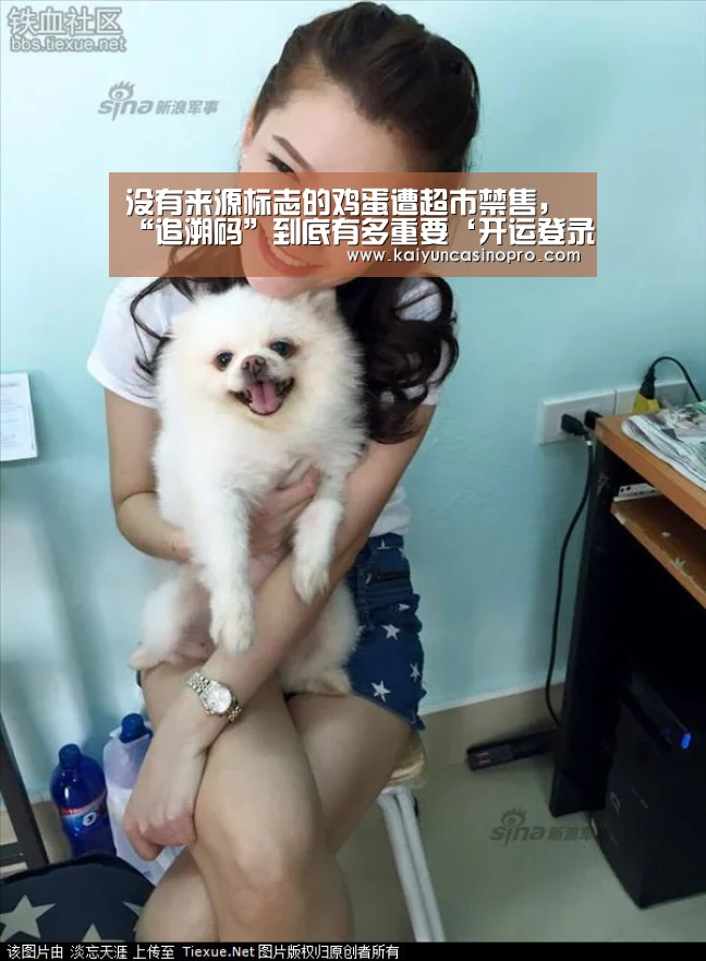 开运登录