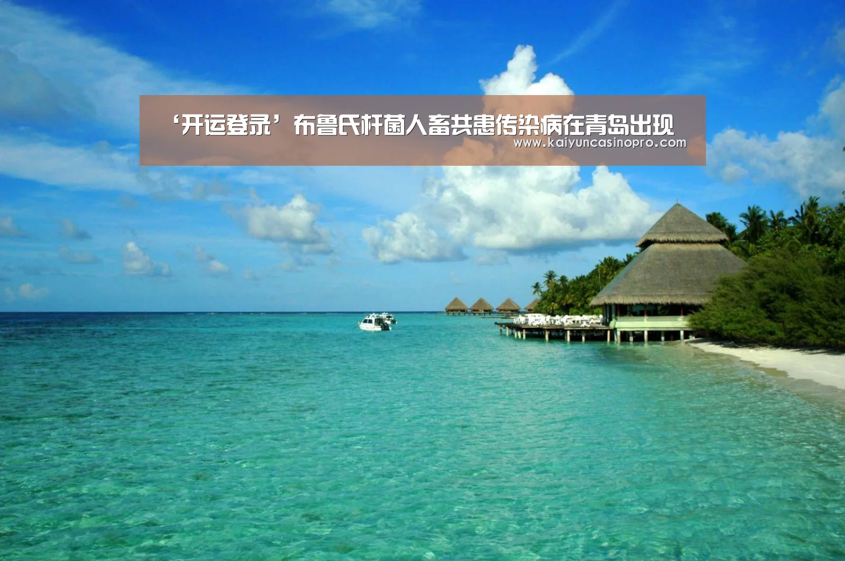 ‘开运登录’布鲁氏杆菌人畜共患传染病在青岛出现(图1) 开运娱乐