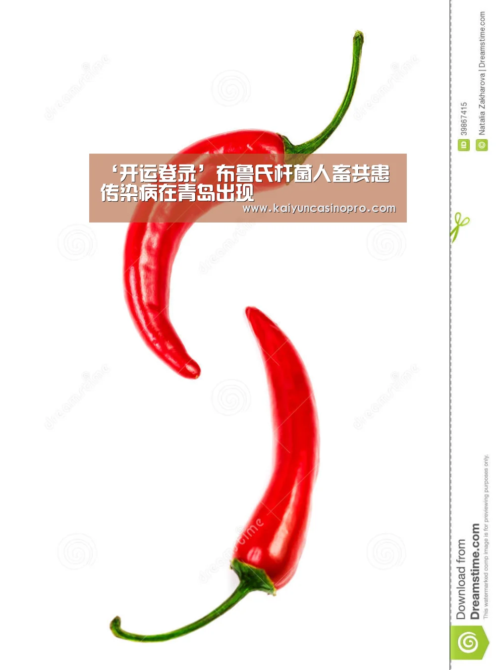 ‘开运登录’布鲁氏杆菌人畜共患传染病在青岛出现(图3) 开运娱乐