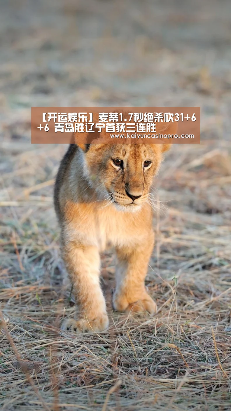 【开运娱乐】麦蒂1.7秒绝杀砍31+6+6 青岛胜辽宁首获三连胜(图1) 开运下载