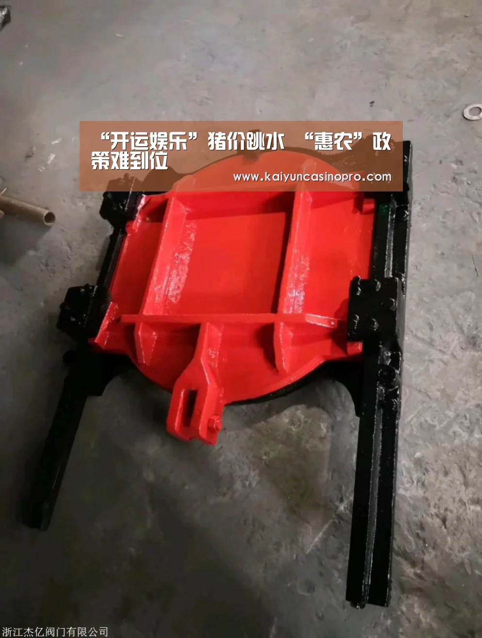 “开运娱乐”猪价跳水 “惠农”政策难到位(图3) 开运下载