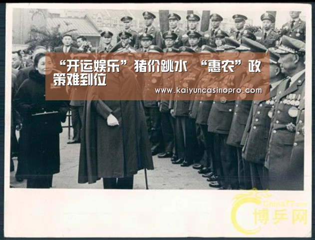 “开运娱乐”猪价跳水 “惠农”政策难到位(图4) 开运APP